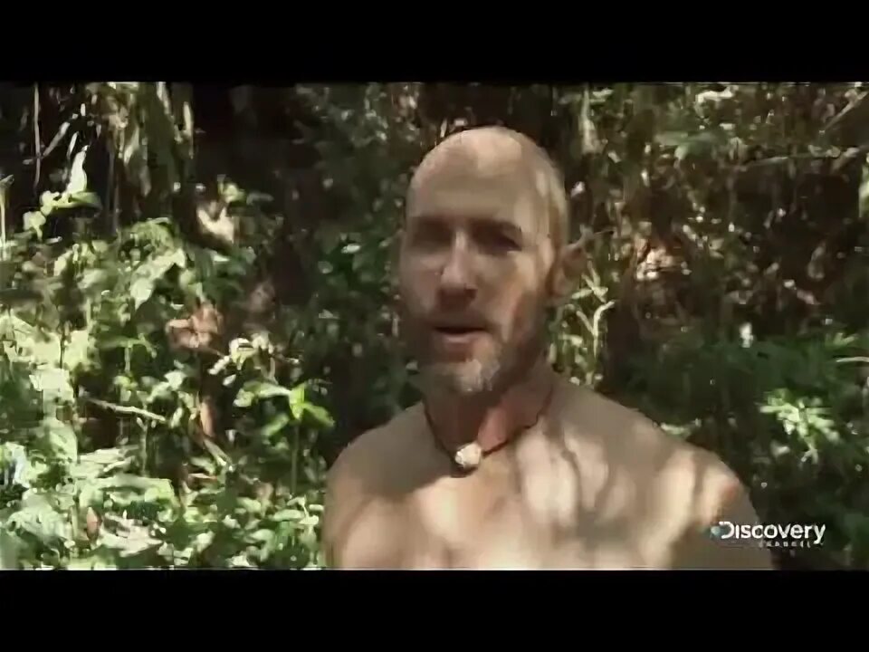 Дискавери напуганные
