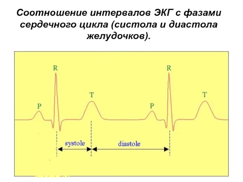Уровень экономической активности. Систола и диастола на кардиограмме. Интервалы экг систола и диастола. Экономические циклы книга. Экономические циклы тест.