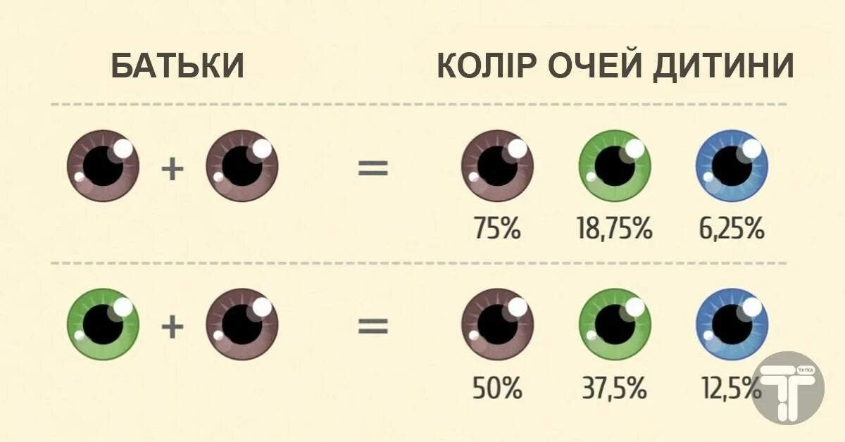 Наследование цвета глаз от родителей таблица. Цвет глаз. Цвет глаз родителей и детей. Цвет глаз генетика. У кареглазых родителей родился голубоглазый ребенок молодые