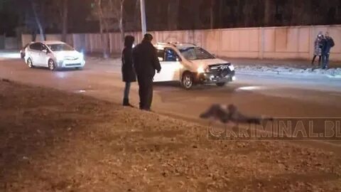 Благовещенск сбитые люди
