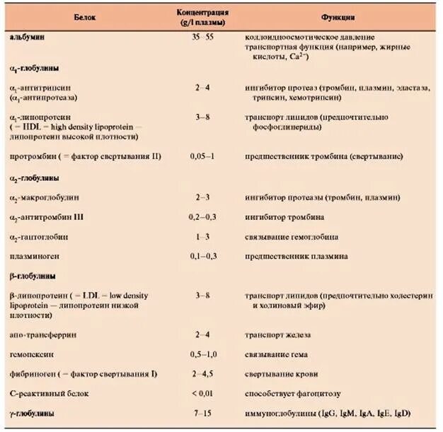 Фракции белков плазмы крови таблица. Белки плазмы крови биохимия таблица. Таблица белки плазмы крови и их функции. Белковый состав плазмы крови физиология.