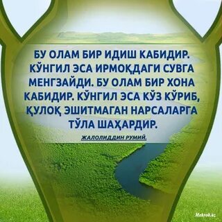 Бир тишлатиб олмамни
