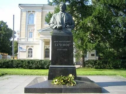 И м сеченова фото