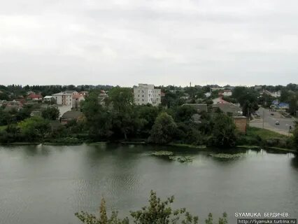 Бердичи