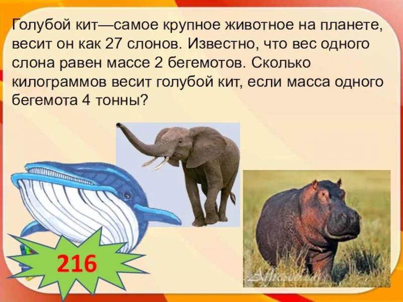 Сколько весит слон. Вес одного слона. Сколько весит слон в тоннах. Вес крупных животных.