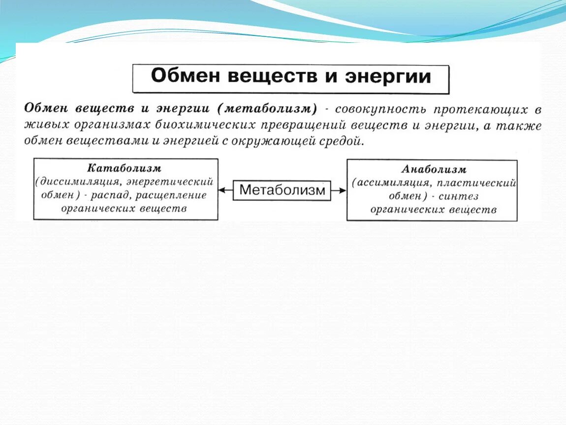 Схема обмена веществ и превращения энергии в организме. Обмен веществ и превращение энергии это признак. Обмен веществ и превращения энергии – признак живых организмов.. Обенвеществипревращениеэнерьгии.