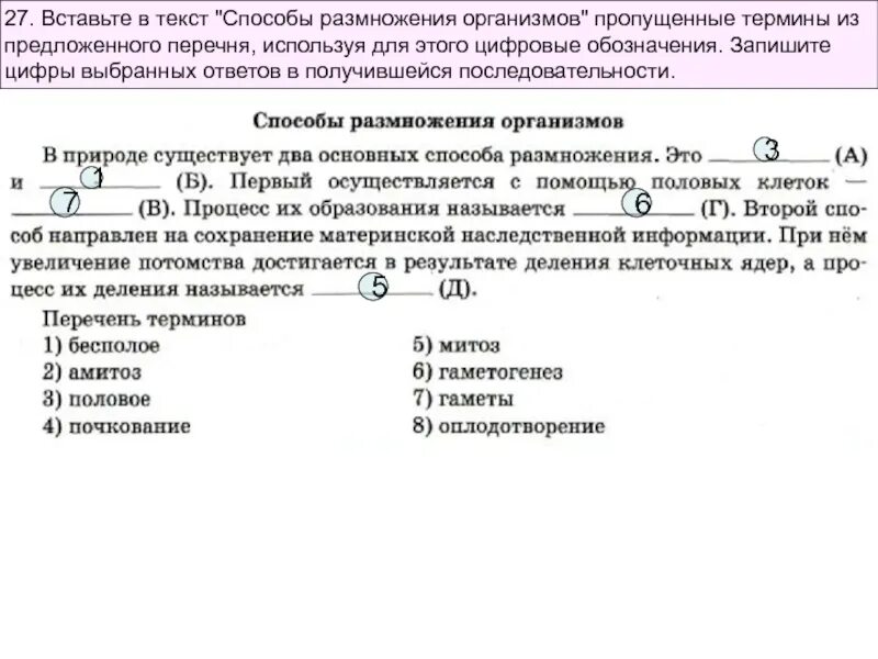 Установите соответствие способы размножения