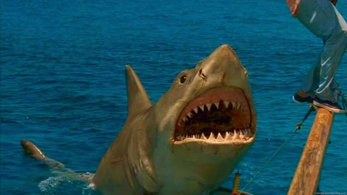 Нападение пятиглавой акулы / 5 headed shark attack (2017). Ужасы про акул и всяких. Ужасы про акул и всяких. Ужасы про акул и всяких. Ужасы про акул и всяких.