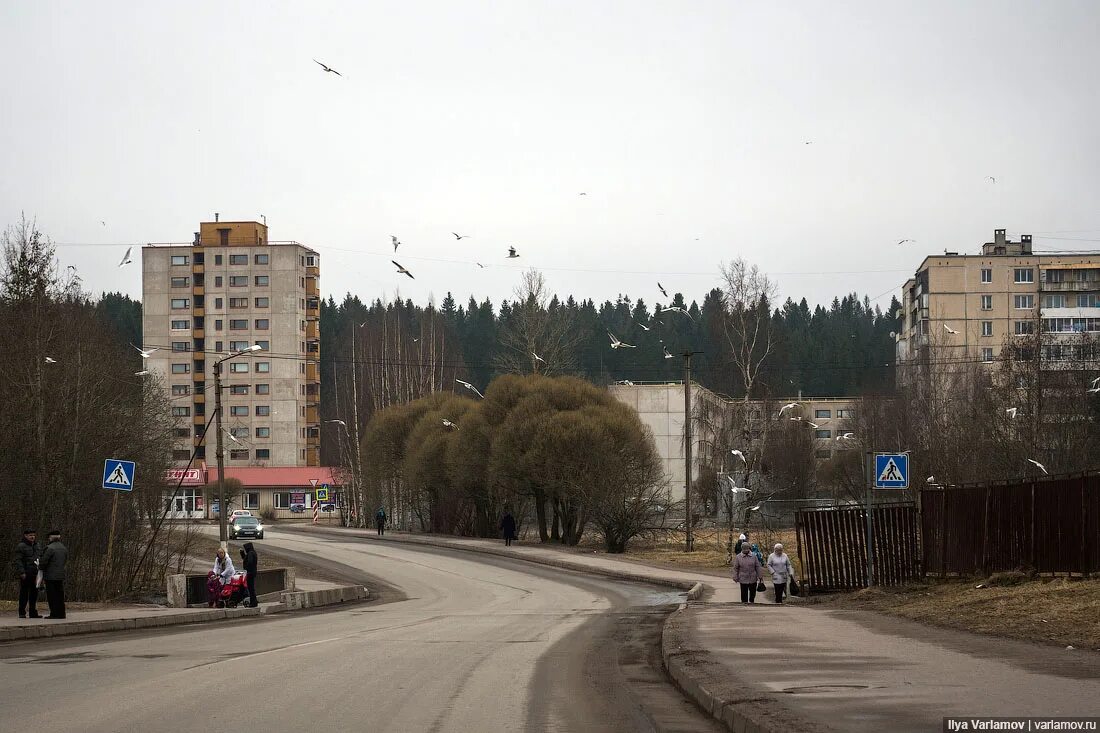 Погода светогорск ленинградская область