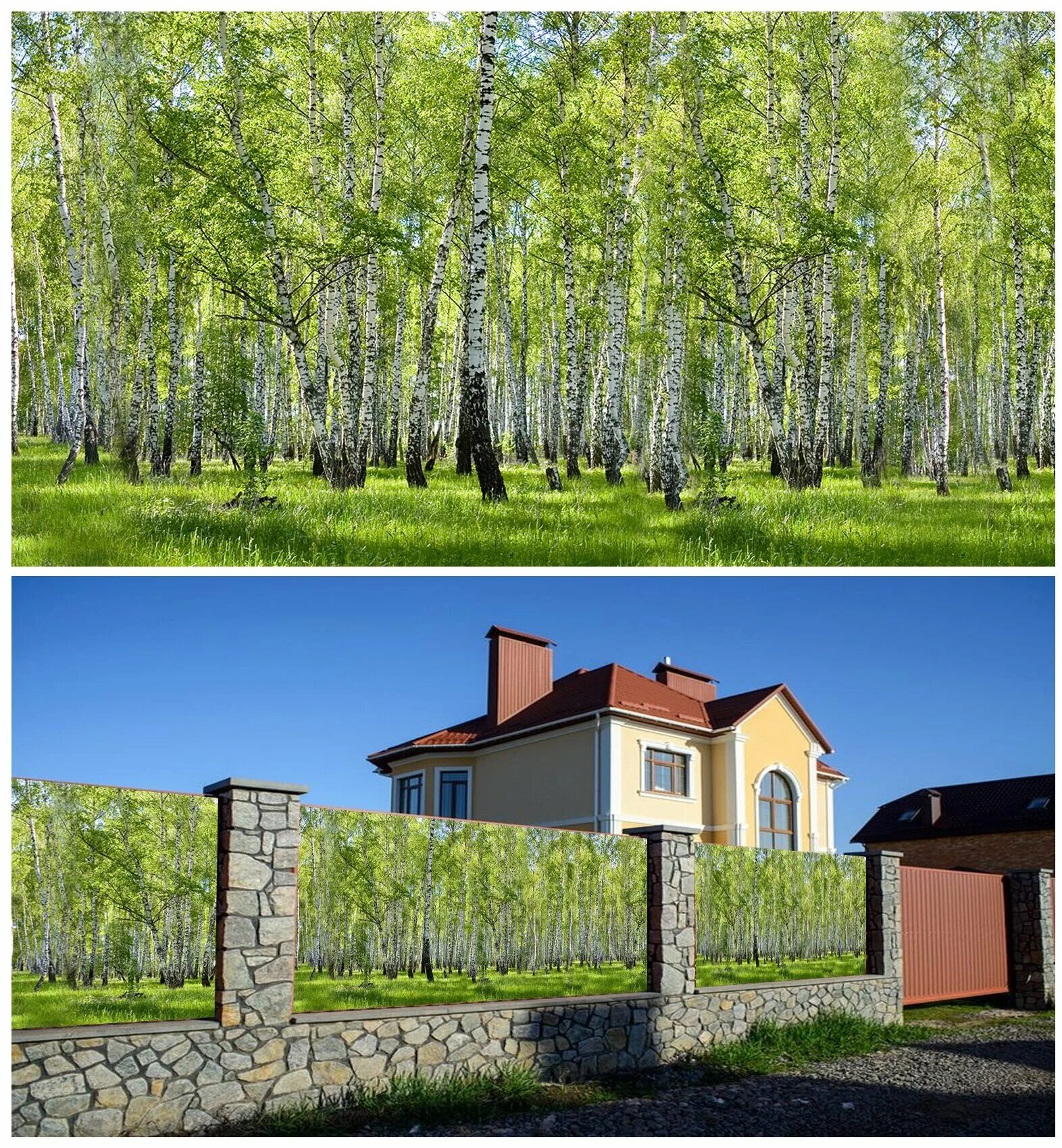 Фотосетка для декора заборов. Фотосетка greengo баннер зеленая изгородь. Фотосетка мечта 300x158 см. Фотосетка рада для заборов. Фотосетка для забора.