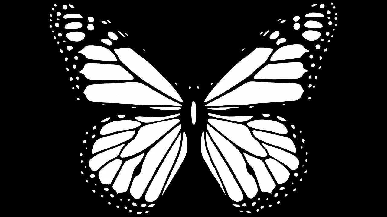 Bmp картинки. Бабочка черно белая. Бабочки чб картинки. Черно белый bmp. Рисунок bmp.