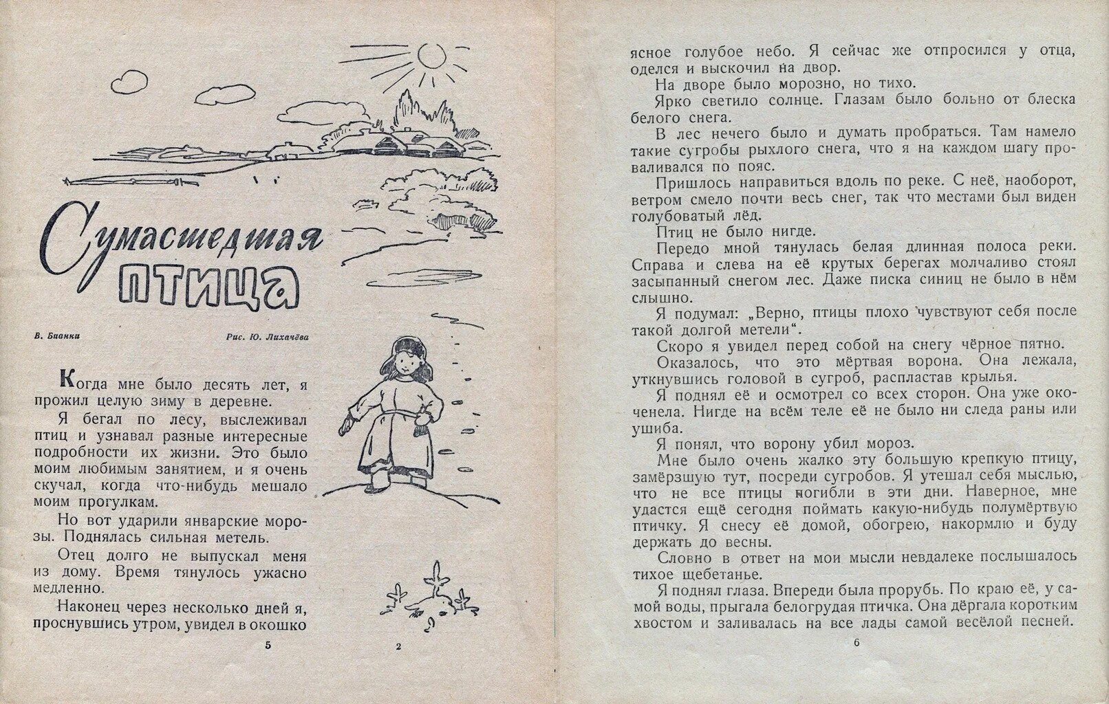 Рассказ Бианки сумасшедшая птица. Бианки оляпка рассказ. Би рассказ читать