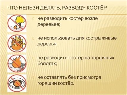 5 ноября что нельзя делать