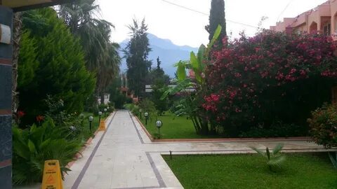 Alexius beach ex club hotel beldiana