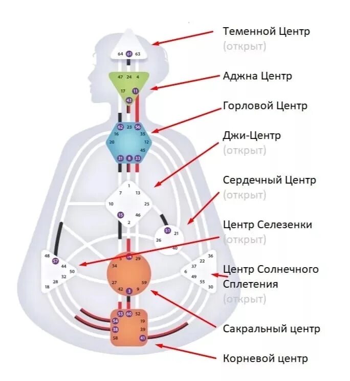 Горловой центр. Дизайн человека чакры. Центры в дизайне человека. Энергетические центры в дизайне человека. Чакры и центры в дизайне человека.