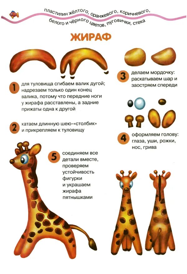 Лепка из пластилина жираф. Жираф из пластилина пошагово. Жираф из пластилина поэтапно. Лепка животных для дошкольников. Жираф из пластилина поэтапно.