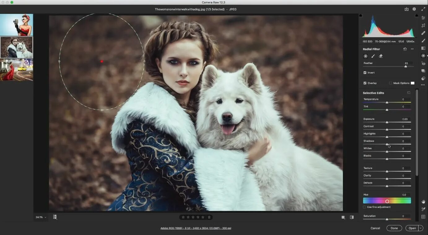 Camera raw 12. 1. Photoshop фильтр камера raw. Camera raw для photoshop cc 2019. Camera raw mac.