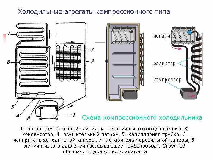 Сколько включается холодильник. Схема монтажа холодильного агрегата для морозильной камеры. Схема компрессионного холодильного агрегата:. Схема холодильного агрегата холодильной камеры. Холодильник Норд двухкамерный схема компрессора.