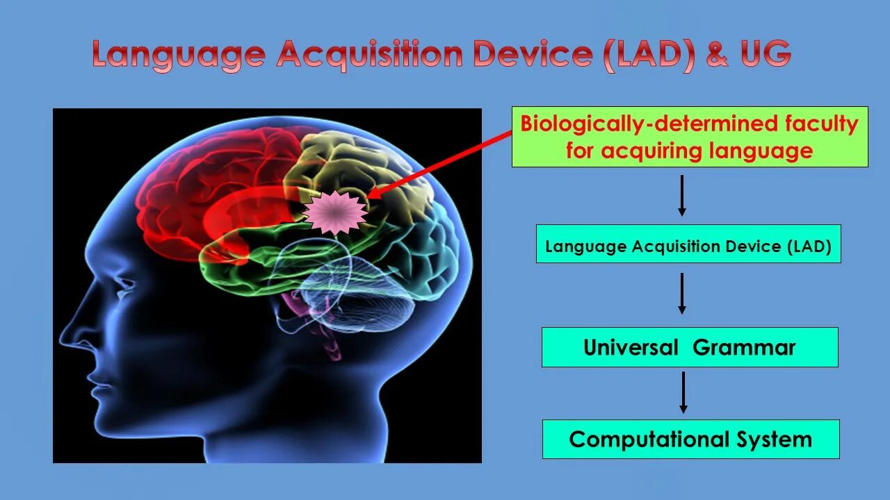 Language acquisition. Language acquisition device. What is language acquisition?. Acquiring language. Language device