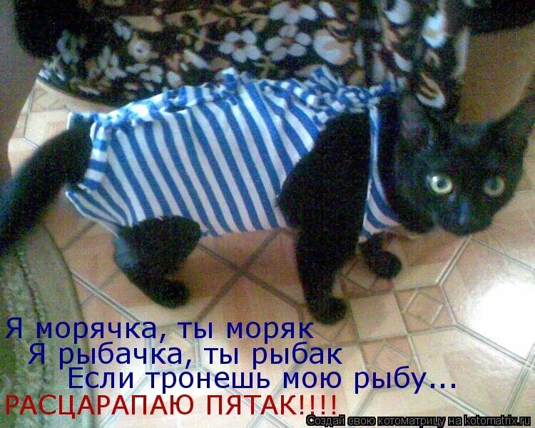 ты морячка я рыбак. шутки про роллтон. ты рыбачка я моряк. ты на суше я на море мы не встретимся. ты морячка я моряк ты рыбак.