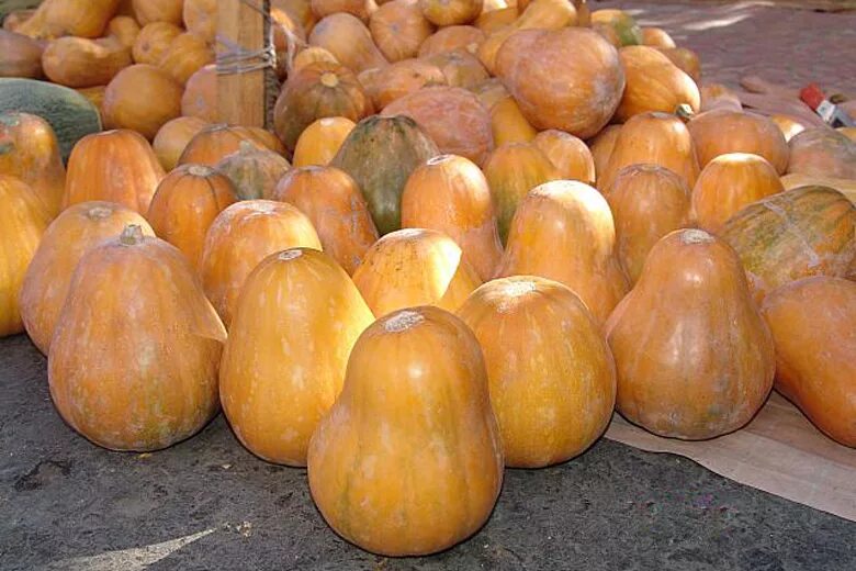 тыква по узбекски. навло тыква по узбекски. тыква с булгуром. тыква по узбекски. тыква по узбекски.