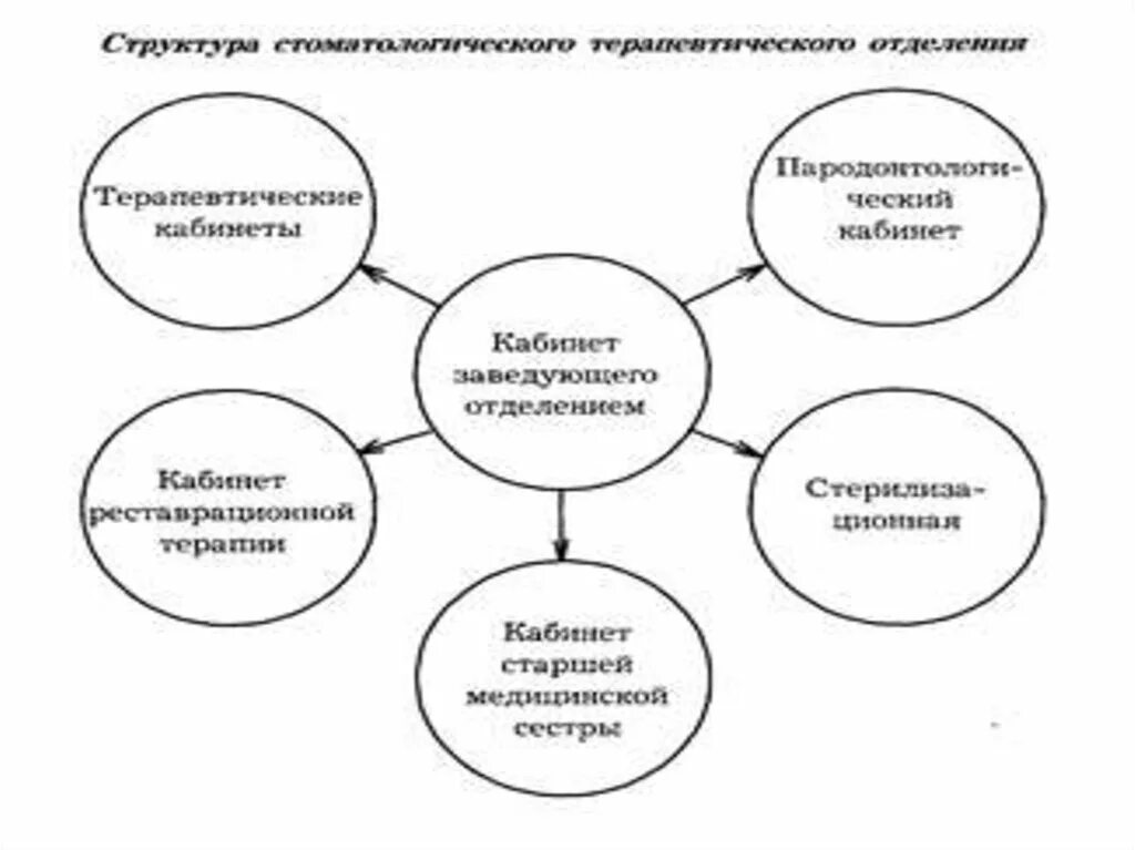 Основные задачи терапевтического отделения. Основные функции терапевтического отделения стационара. Структура и организация работы терапевтического отделения. Структура лечебной терапевтического отделения. Терапевтическое отделение какие заболевания.