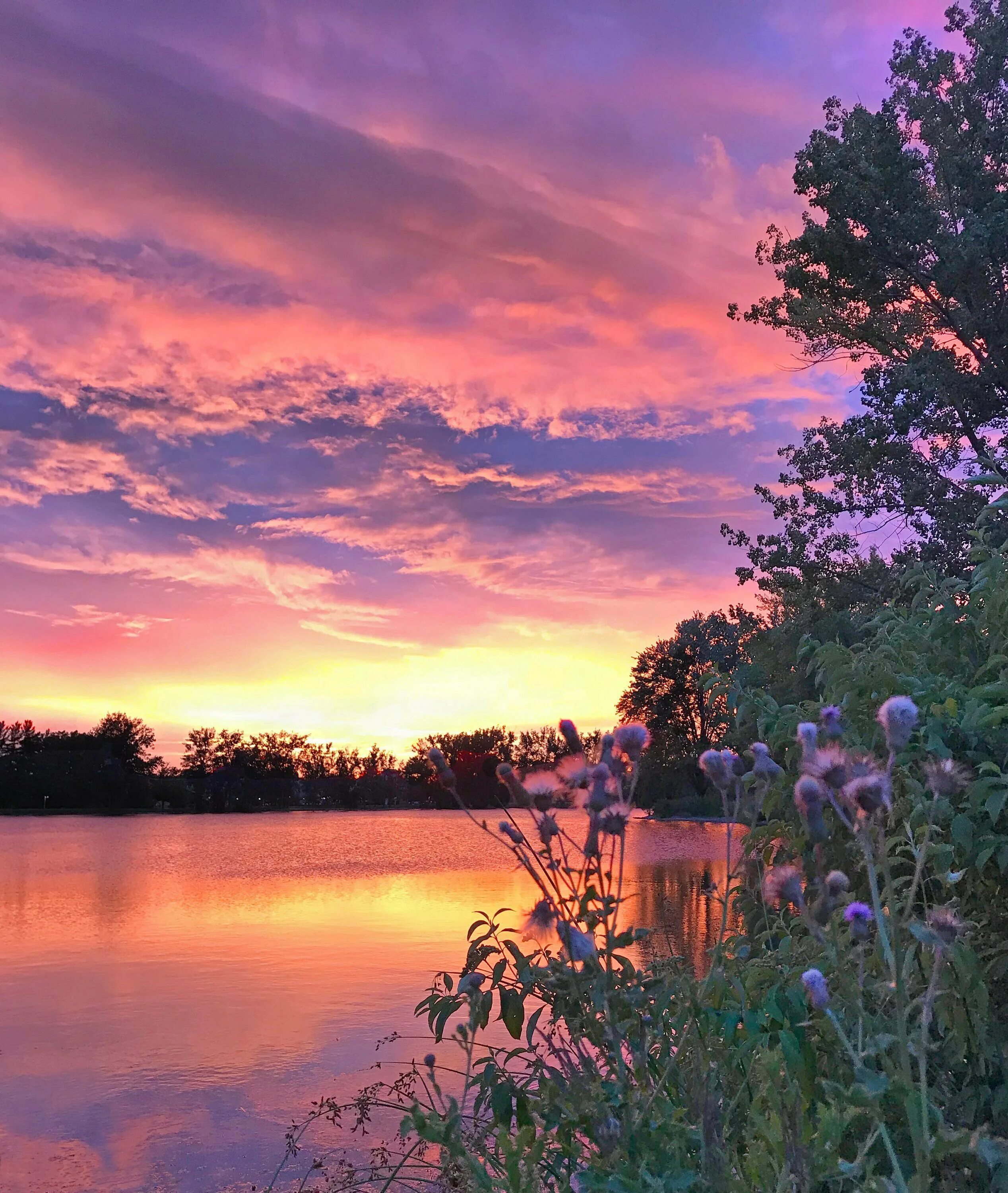Природа вечером картинки. Красивый рассвет. летний закат. природа вечер. красивый пейзаж.