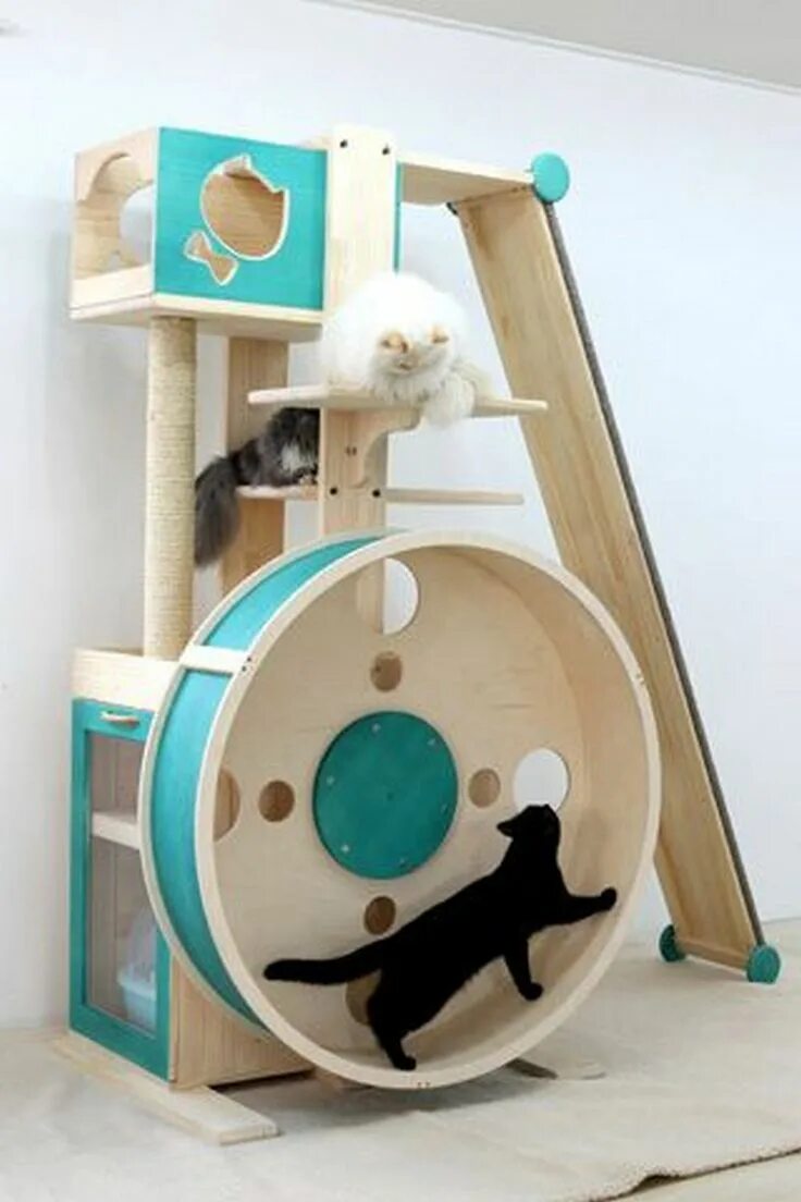 Развлечения для котов. Развивающие игрушки для кошек. Игровой комплекс для кошек. Стильный игровой комплекс для кошек. Дизайнерские игровые комплексы для кошек.
