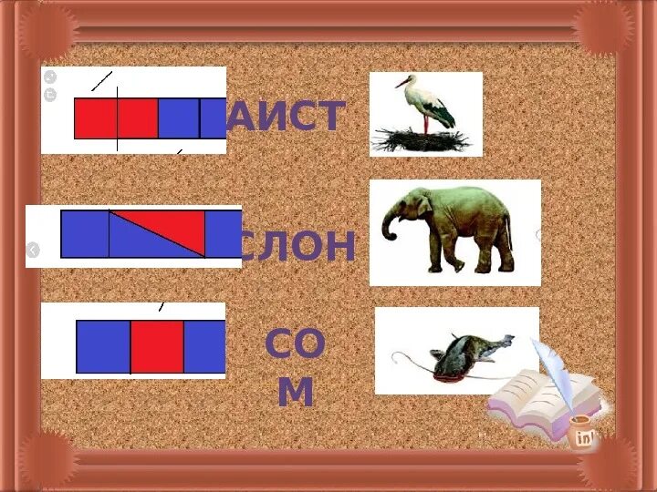 Долго схема слова. Схема слова 1 класс. аист звуковая схема. схема слова слон. схема слова аист.
