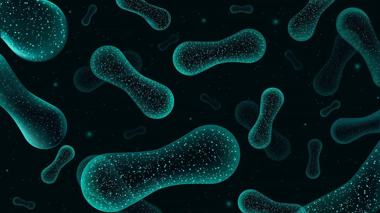 Медицинские бактерии. Бактерия 3д. Первые бактерии. Бактерии фото. Микробы 3д.