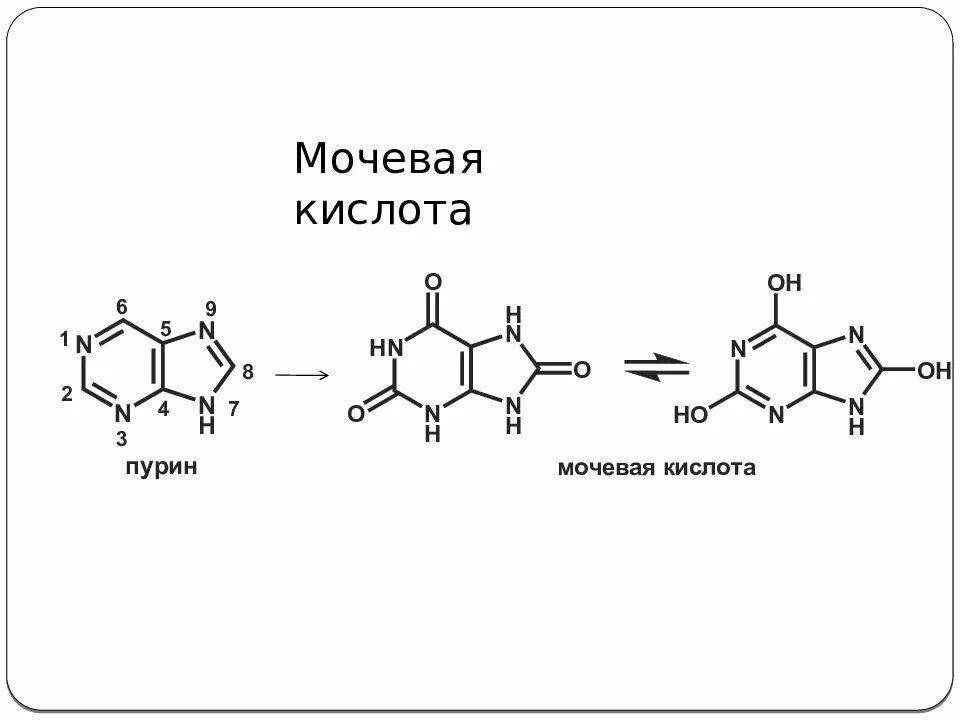 Если повышена мочевая кислота. Мочевая кислота формула. Производные мочевой кислоты. Производные Пурина мочевая кислота. Пурины и мочевая кислота.