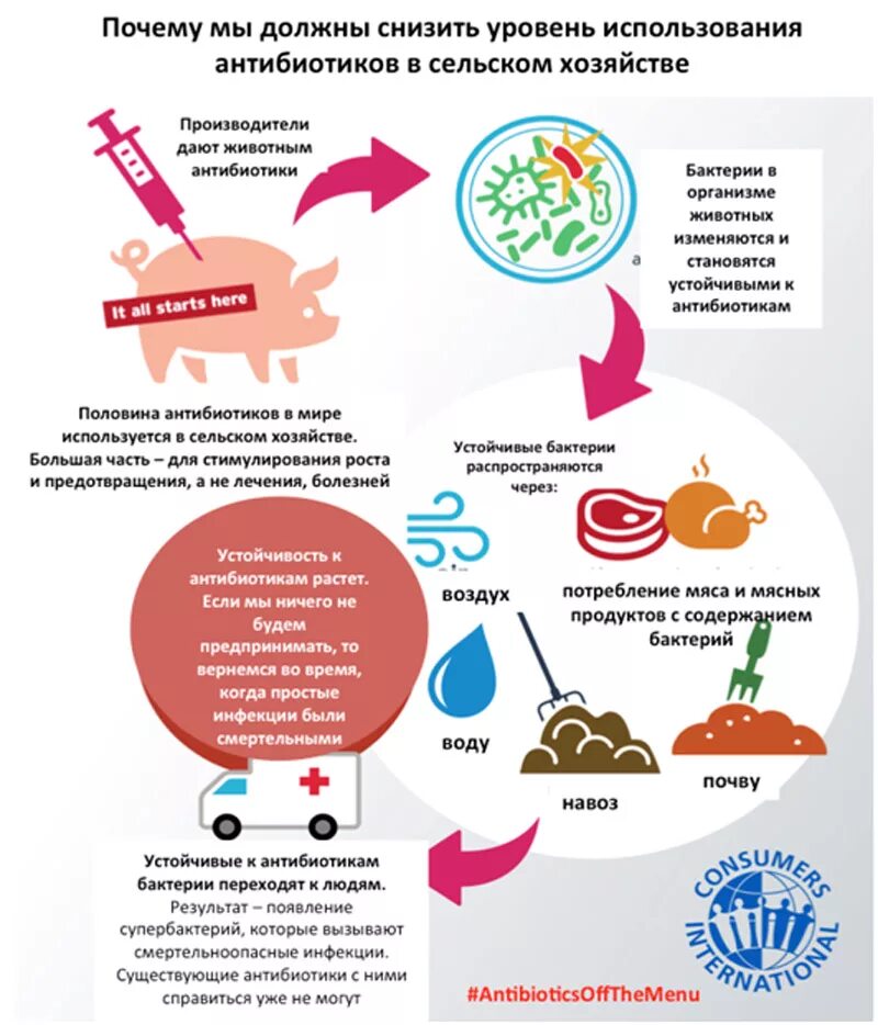 Можно прерывать курс антибиотиков. Инфографика антибиотики. Памятка антибиотики. Памятка по использованию антибиотиков. Антибиотики памятка для пациентов.