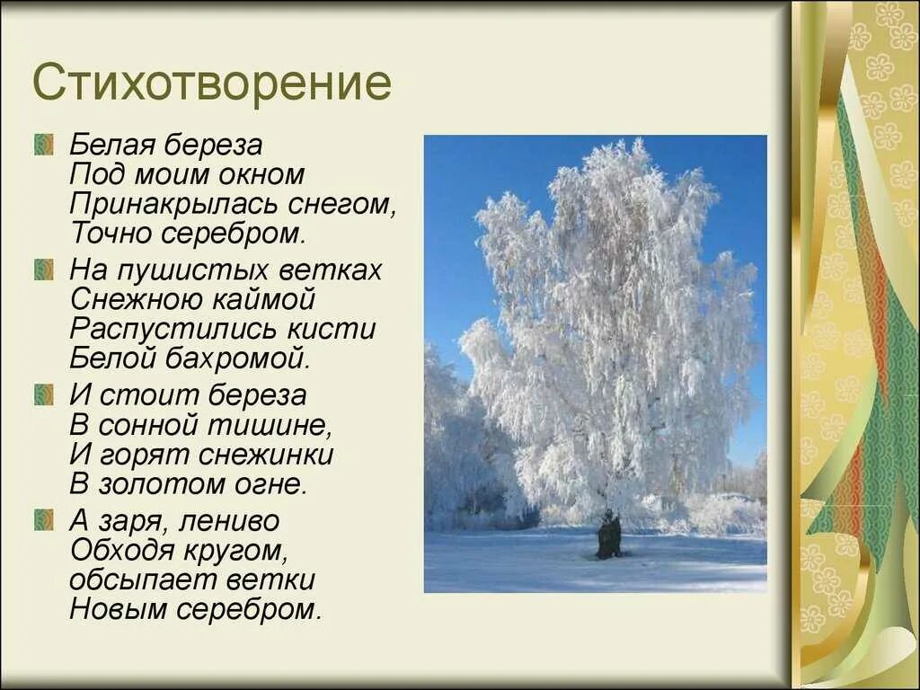 Стихотворение есенина 2 класс. Стихотворение Есенина белая береза под моим окном. Белая берёза стих Есенина текст. Стих Есенина белая береза. Стихотворение Есенина береза.