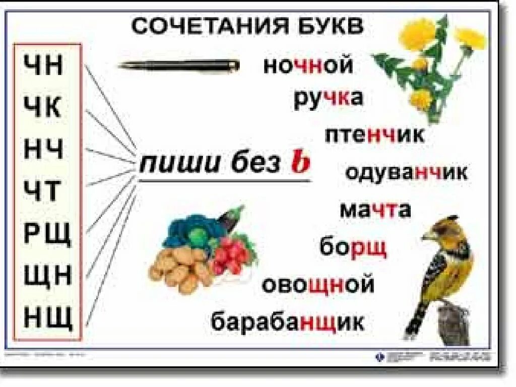 Русский язык перед 4 классом. Таблицы по русскому языку для начальной школы. Таблицы для начальной школы. Таблицы по русского ячхыкау 1 класс. Талицы по русскому языку для начальной школы.