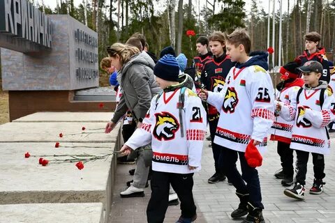 Хк гомель