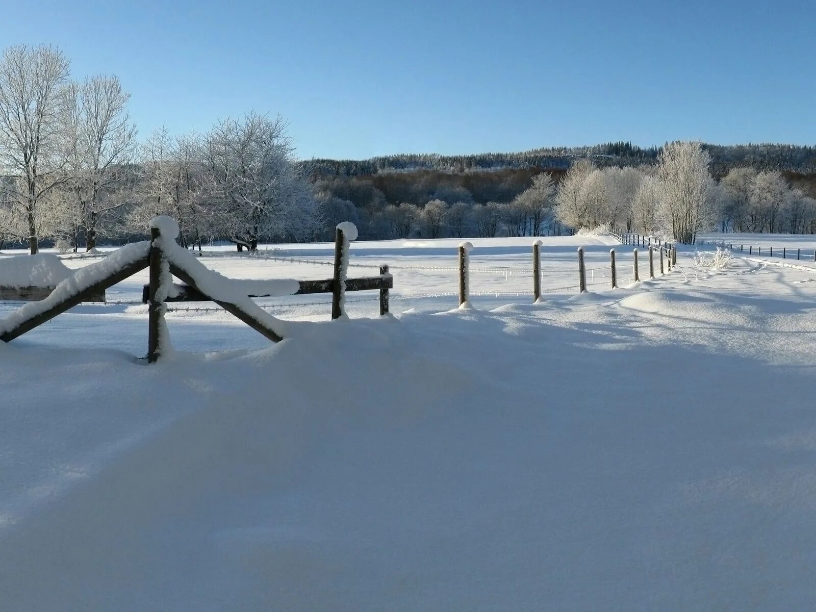 Снег 5 декабря. Декабрь. Декабрь пейзаж картинки. Участок зима. Winter HDR.