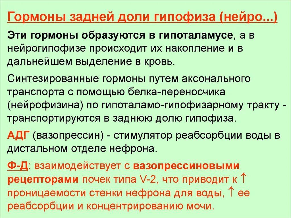 Какие гормоны задней доли гипофиза. Функции гормонов задней доли гипофиза. К гормонам задней доли гипофиза относится. Гормоны синтезируемые задней долей гипофиза.