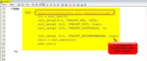 Curl post example