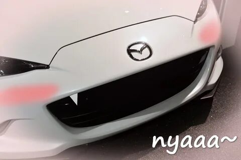 Car faces