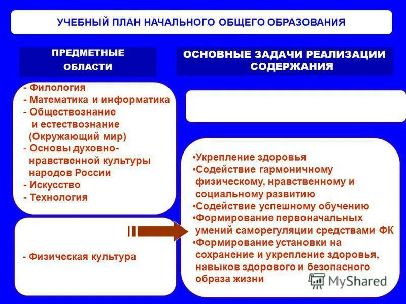 предметная область естествознание