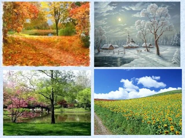 Сезонные природные явления. Коллаж сезонные изменения в природе. Сезонные явления в природе. Сезонные явления в природе по временам года. Сезонные изменения моего края