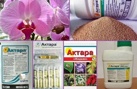 Актара от паутинного клеща
