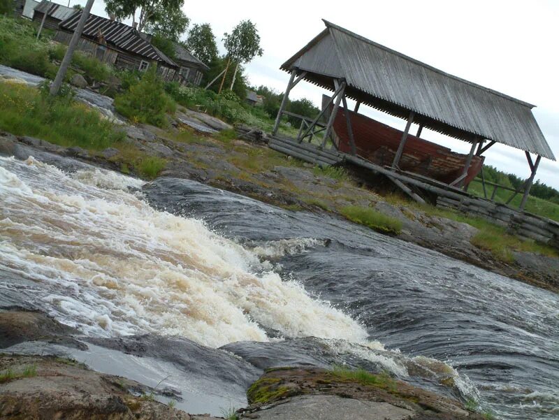 Р сума. Река сума карелия. Р сума. Река сума кингисеппский район рыбалка. Речка сума ленинградская область.