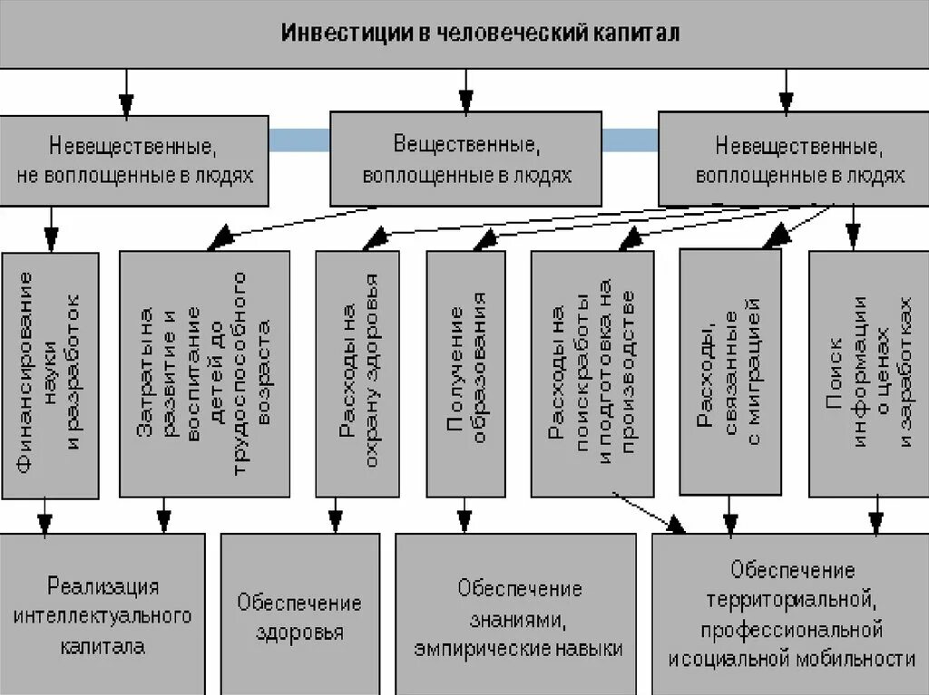 Модель человеческого капитала. Вложения в человеческий капитал. Инвестиции в человеческий капитал. Принципы инвестирования человеческого капитала. Человеческий капитал схема.