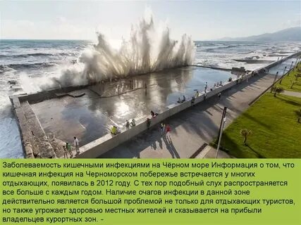 Ротавирус на черном море