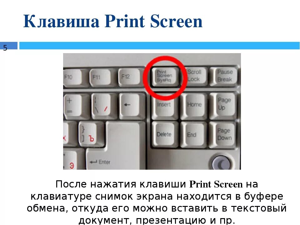 Кнопка скрина на клавиатуре. Кнопки скрина на компьютере. Принтскрин клавиши. Как сделать снимок экрана на компьютере. Запись экрана какие кнопки