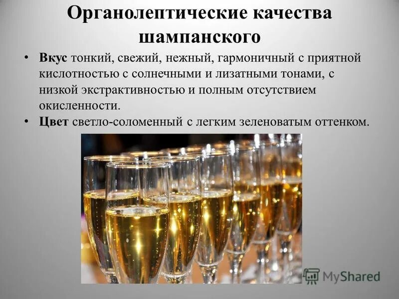 Шампанское алкогольные напитки. Минусы шампанского. Какое есть шампанское. Шампанское вредно для здоровья. Современная подача игристого.