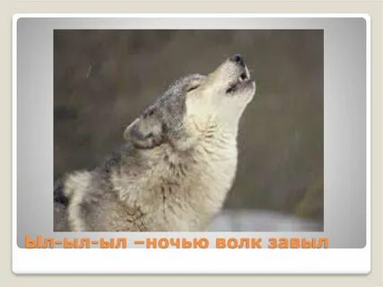 Волком я завою полная