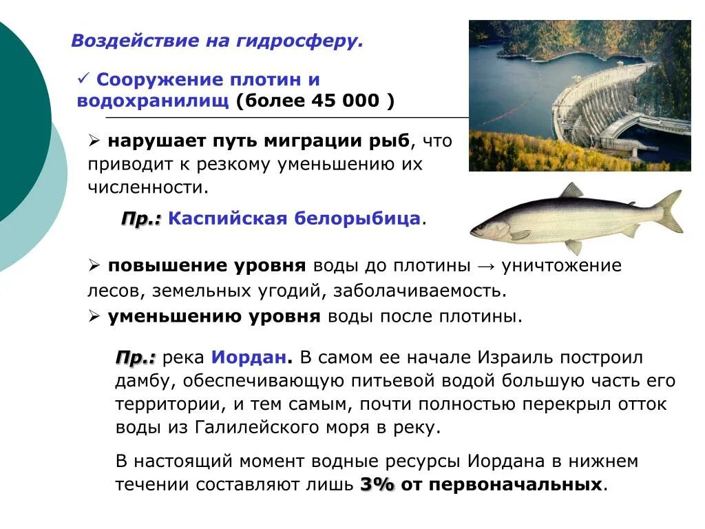 Воздействие на гидросферу. Влияние на гидросферу. Миграция рыб. Влияние водохранилищ на гидросферу. Направление течения воды рыбы определяют