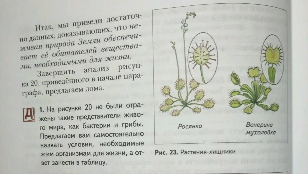 Рассмотрите рисунок 176 в и объясните почему. Что необходимо растению для жизни. Рассказ что необходимо растению для жизни. Рассказ что необходимо растению для жизни 2 класс. Рассказ что необходимо растению для жизни 2 класс окружающий.